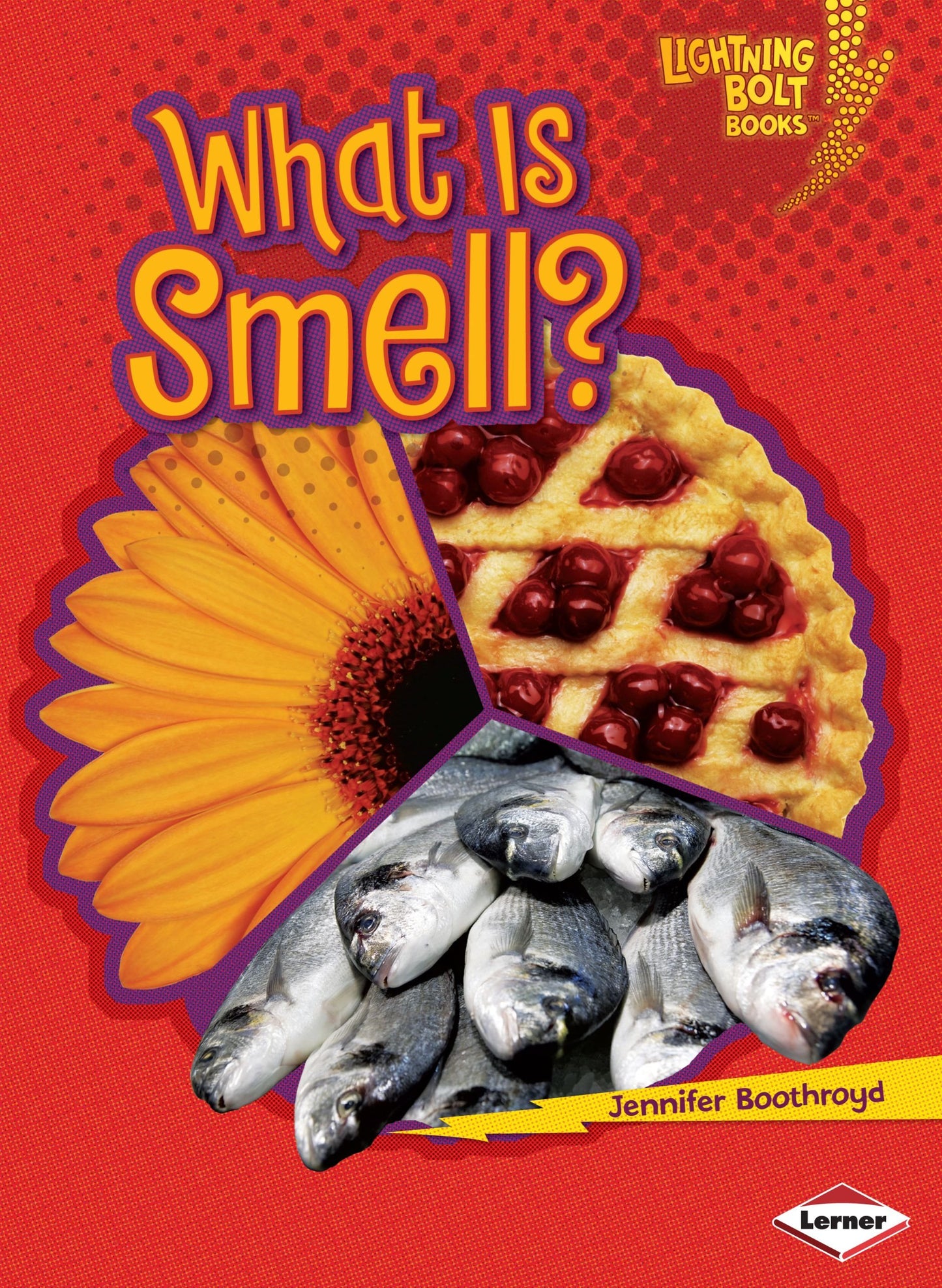 What Is Smell? (Lightning Bolt Books)