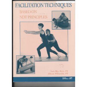 Facilitation Techniques Based on Ndt Principles - 9787