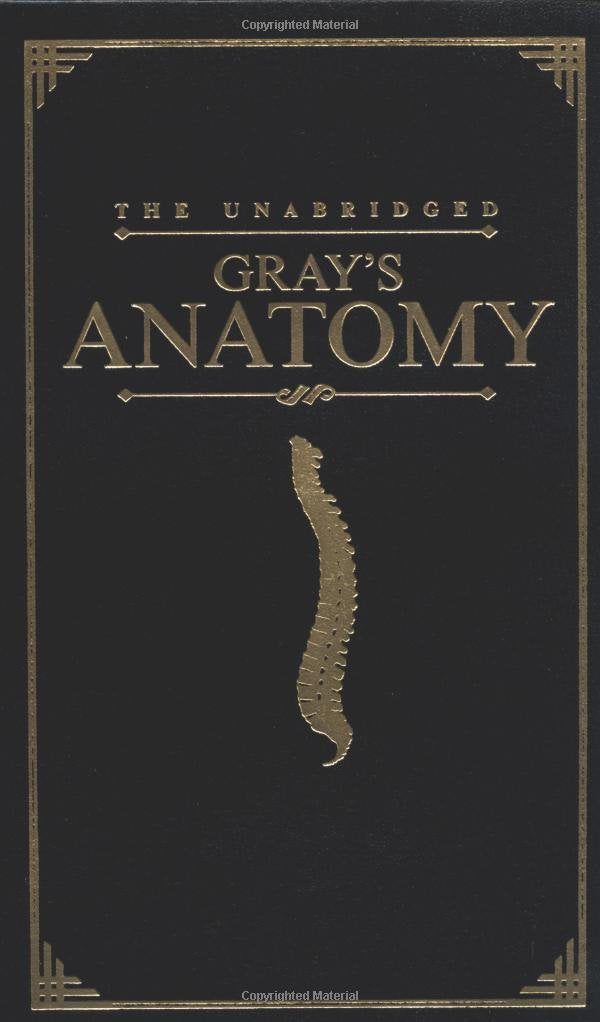 Anatomy, Descriptive and Surgical