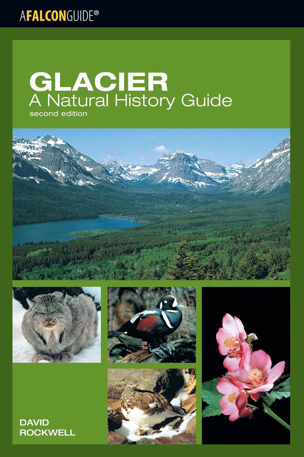 Glacier: A Natural History Guide (Falcon Guide)