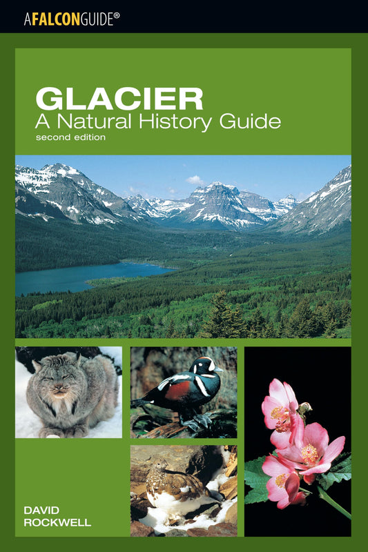 Glacier: A Natural History Guide (Falcon Guide) - 2011