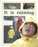 It Is Raining: Individual Student Edition Yellow (Levels 6-8) (Rigby PM Plus) - 4848