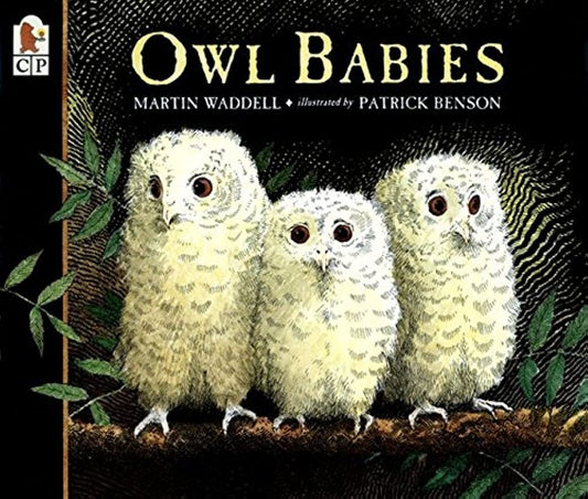 OWL BABIES - 3531
