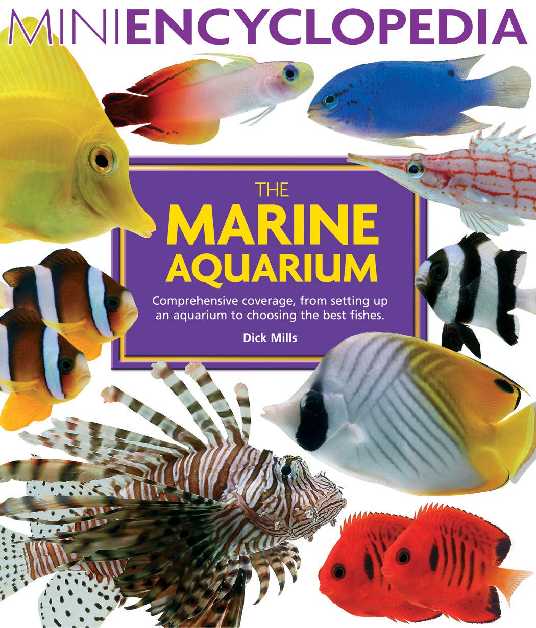 The Marine Aquarium