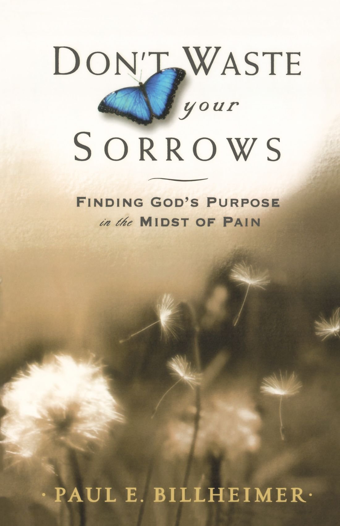 Dont Waste Your Sorrows: Finding God's Purpose in the Midst of Pain - 9518