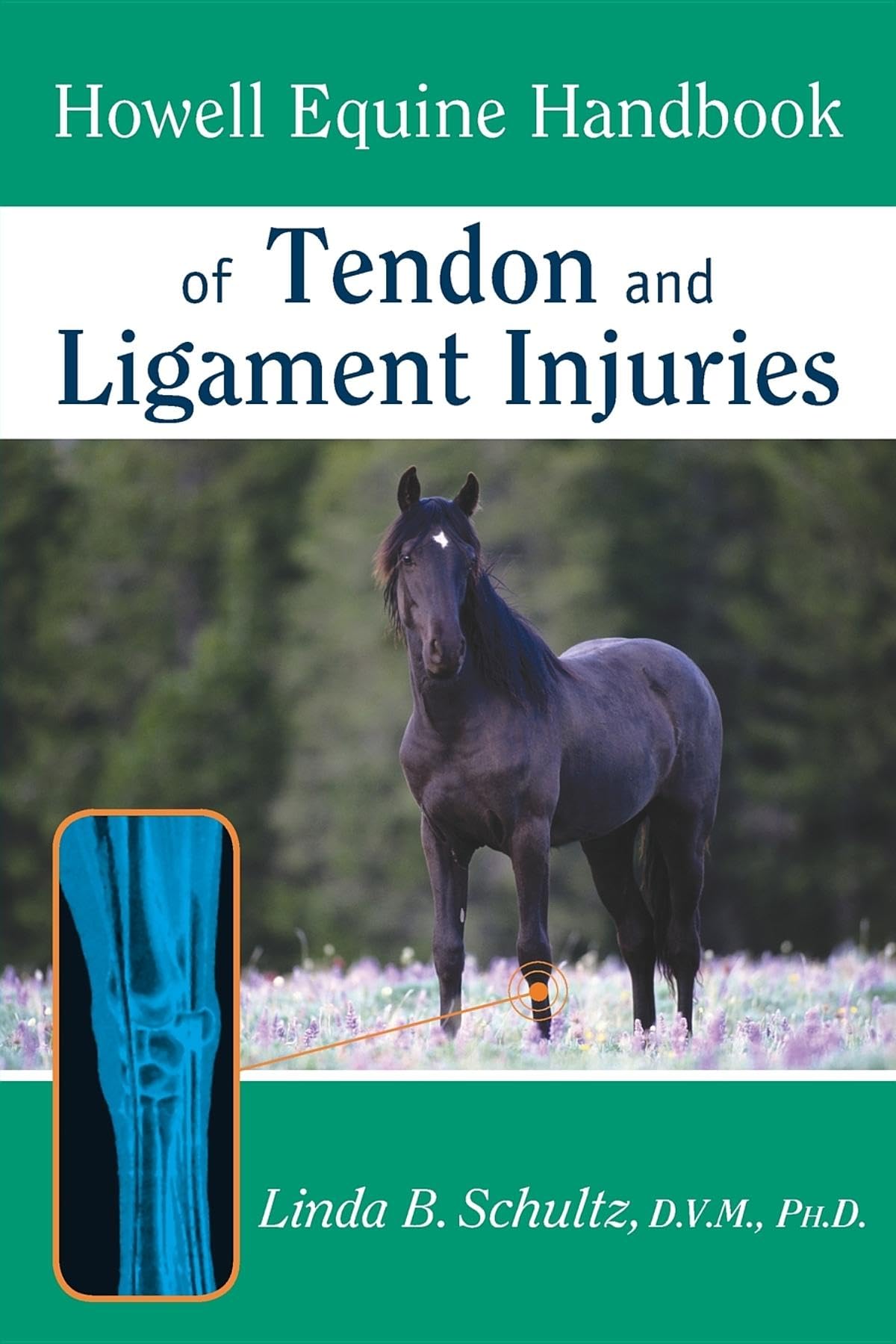 Howell Equine Handbook of Tendon and Ligament Injuries (Howell Equestrian Library (Paperback)) - 4579