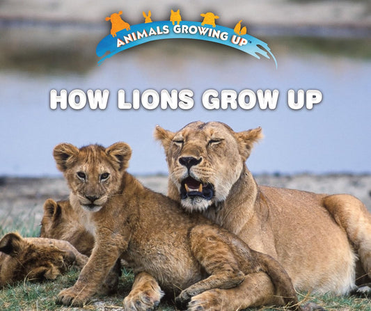 How Lions Grow Up (Animals Growing Up)