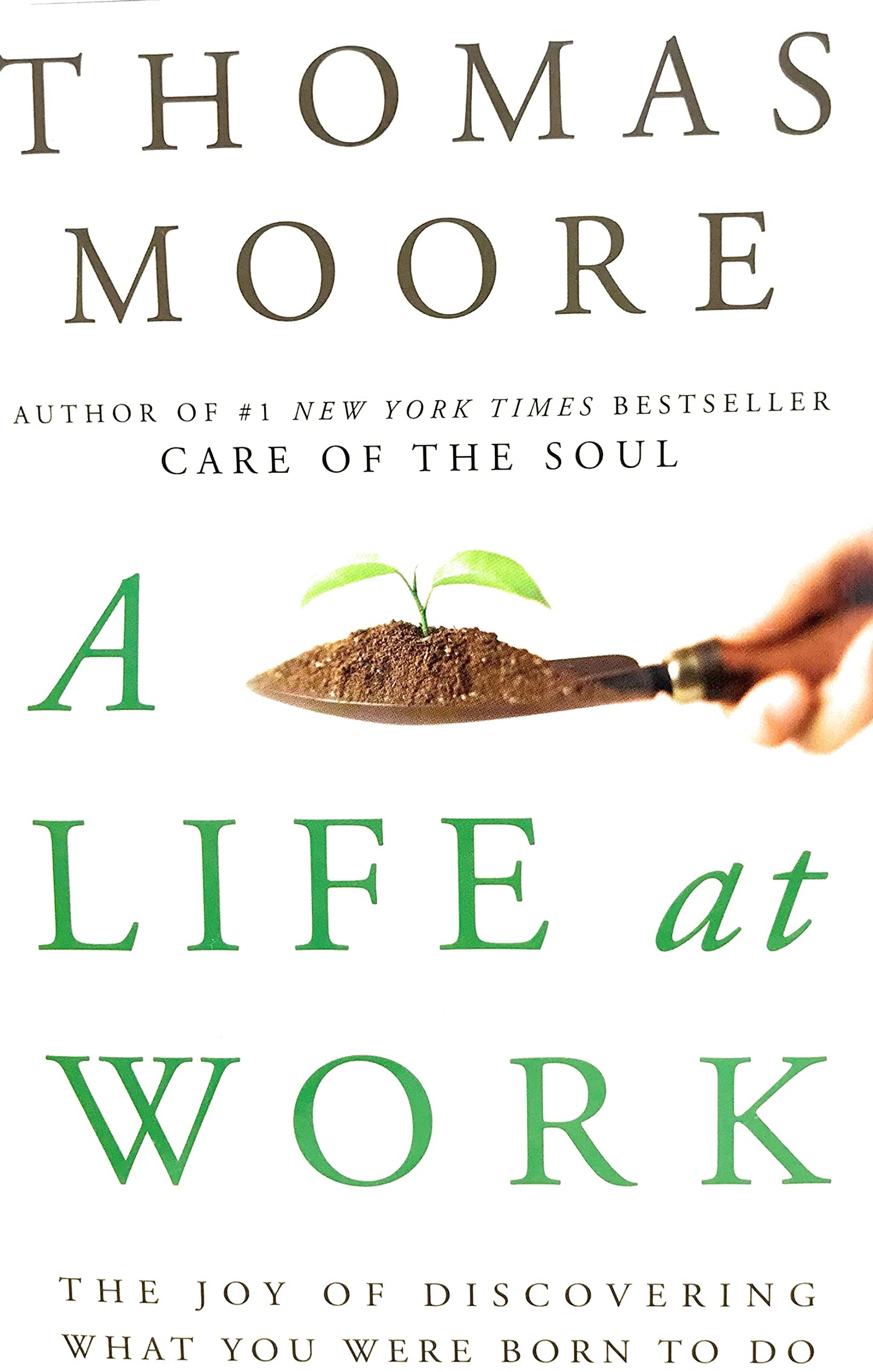 A Life at Work: The Joy of Discovering What You Were Born to Do