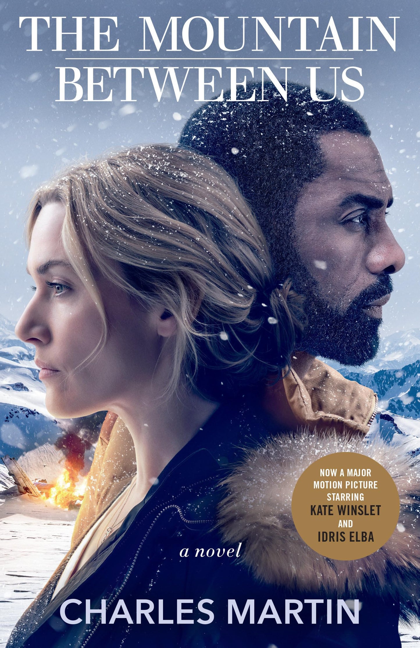 The Mountain Between Us: A Novel - 6009
