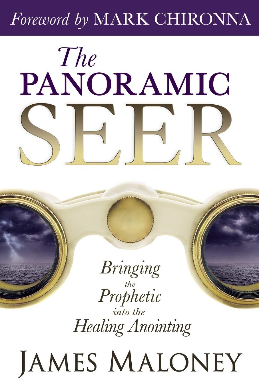 The Panoramic Seer: Bringing the Prophetic into the Healing Anointing - 3654