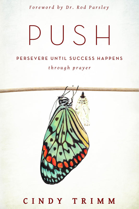 Push: Persevere Until Success Happens Through Prayer - 8486