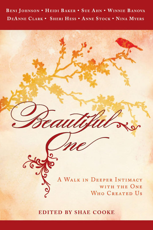 Beautiful One: A Walk In Deeper Intimacy with the One Who Created Us - 5773
