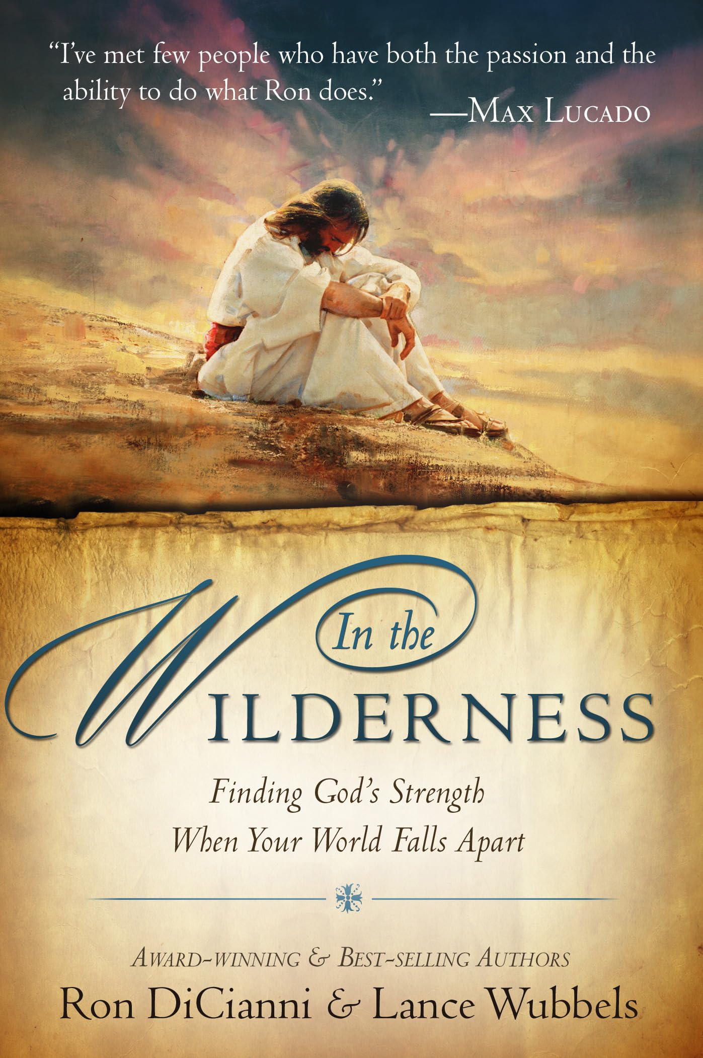 In The Wilderness: Finding God's Strength When Your World Falls Apart