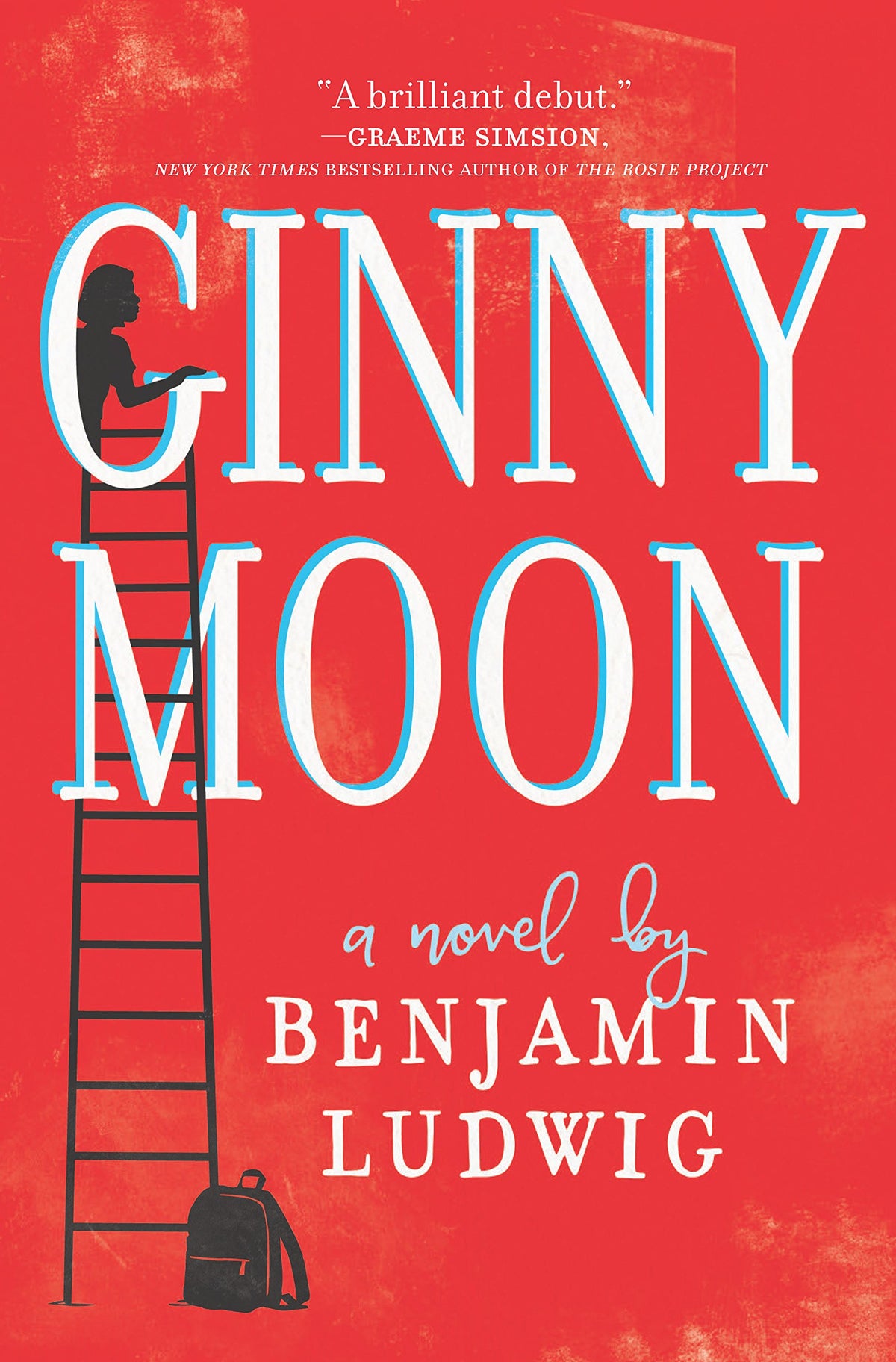 Ginny Moon: A Novel