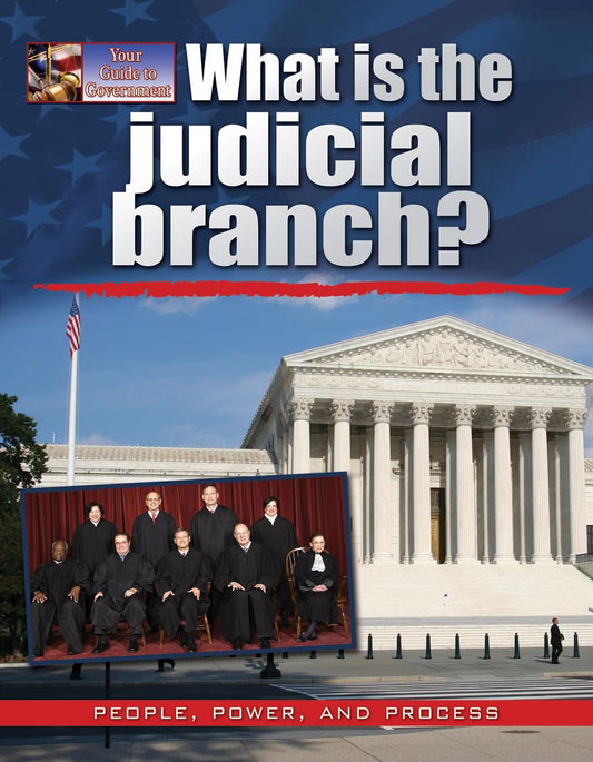 What Is the Judicial Branch? (Your Guide to Government)