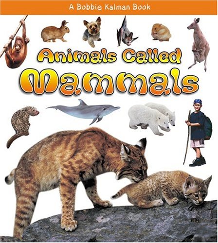 Animals Called Mammals (What Kind of Animal Is It?) - 4661