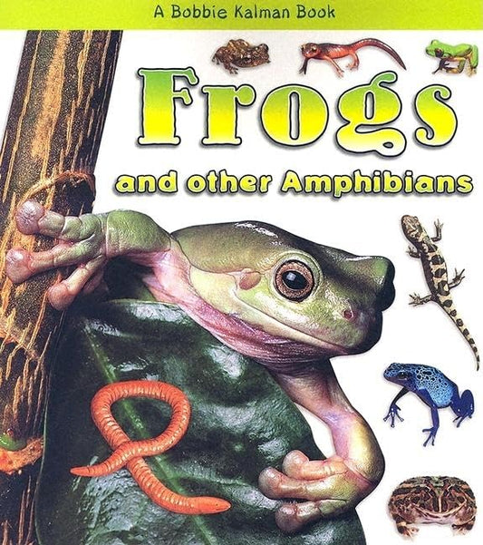 Frogs and Other Amphibians (What Kind of Animal Is It?)