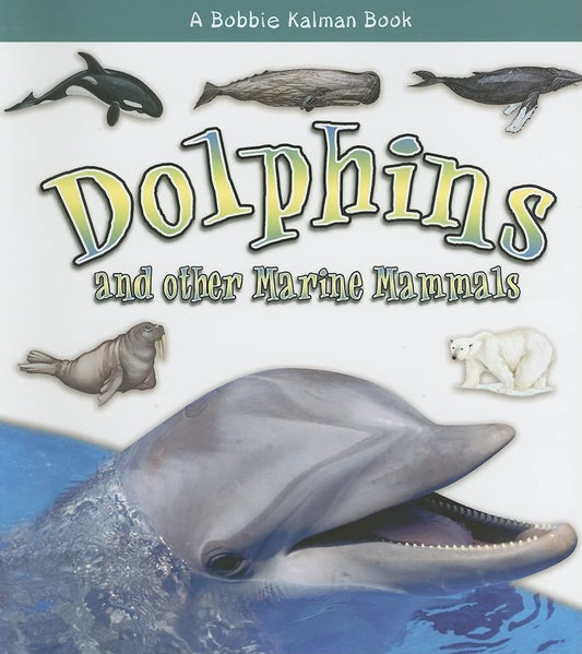 Dolphins and Other Marine Mammals (What Kind of Animal Is It?) - 361