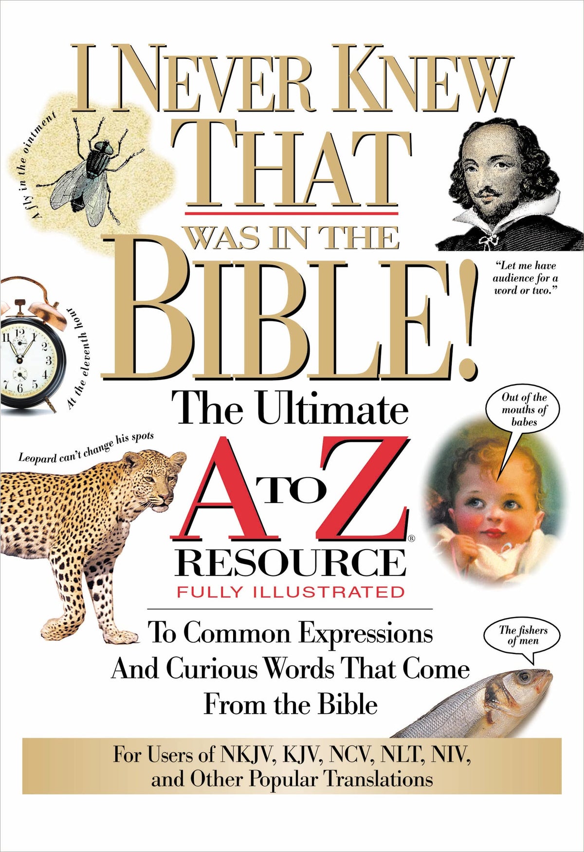 I Never Knew That Was in the Bible (A to Z Series)