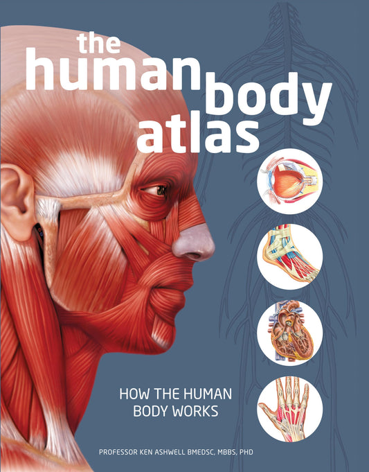 The Human Body Atlas: How the human body works - 6922