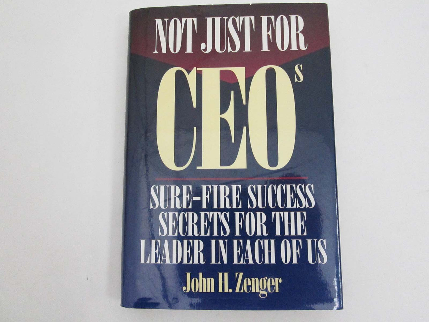 Not Just for CEOs: Sure Fire Success Secrets for the Leader in Each of Us