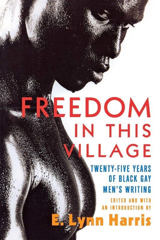 Freedom in This Village: Twenty-Five Years of Black Gay Men's Writing - 7872