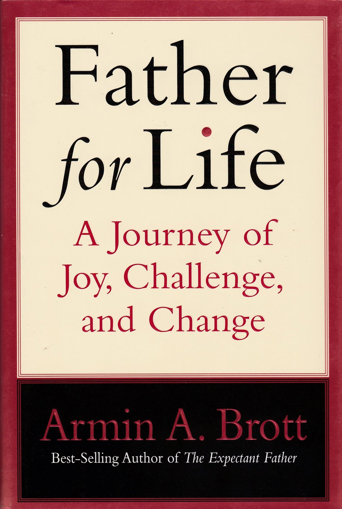 Father for Life: A Journey of Joy, Challenge, and Change