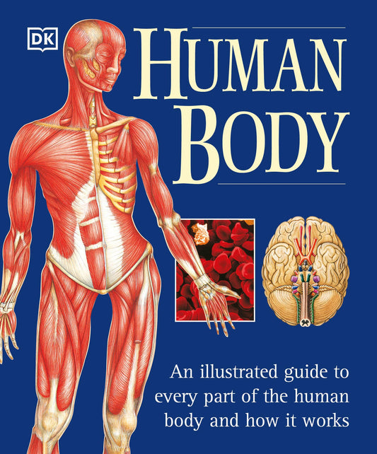 Human Body: An Illustrated Guide to Every Part of the Human Body and How It Works - 5534