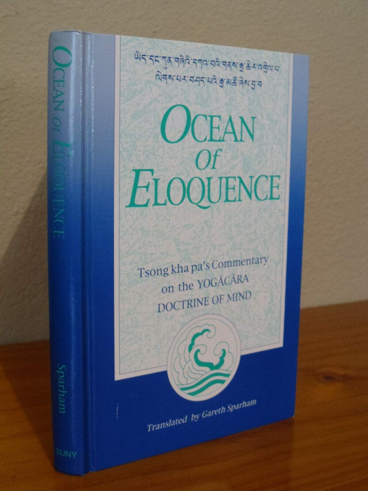 Ocean of Eloquence: Tsong kha pa's Commentary on the Yogācāra Doctrine of Mind (Buddhist Studies (Dis))