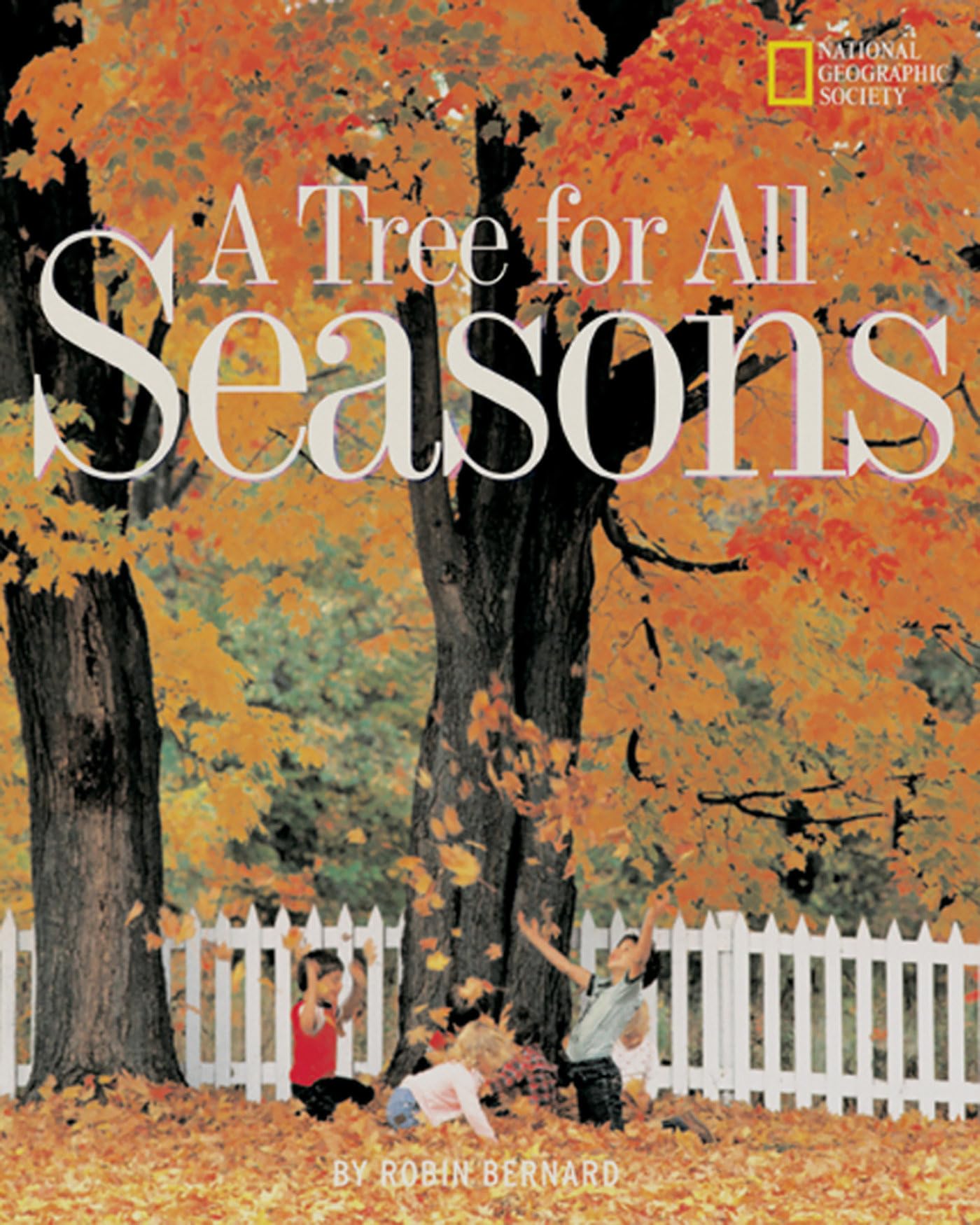 A Tree for All Seasons (Rise and Shine) - 6724