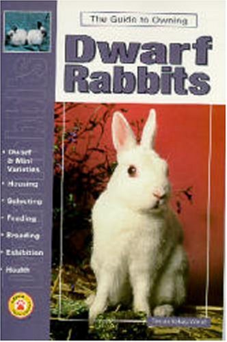 The Guide to Owning Dwarf Rabbits
