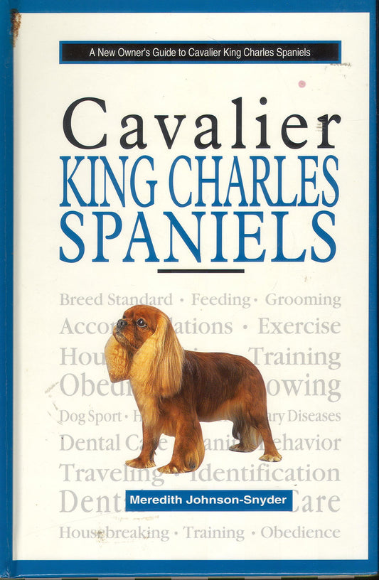 A New Owners Guide to Cavalier King Charles Spaniels