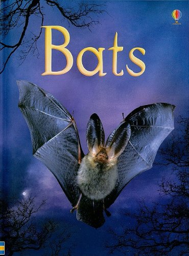 Bats (Usborne Beginners Nature) - 5513