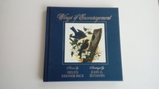 Wings of Encouragement: Poems
