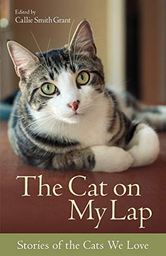 THE CAT ON MY LAP: STORIES OF TH