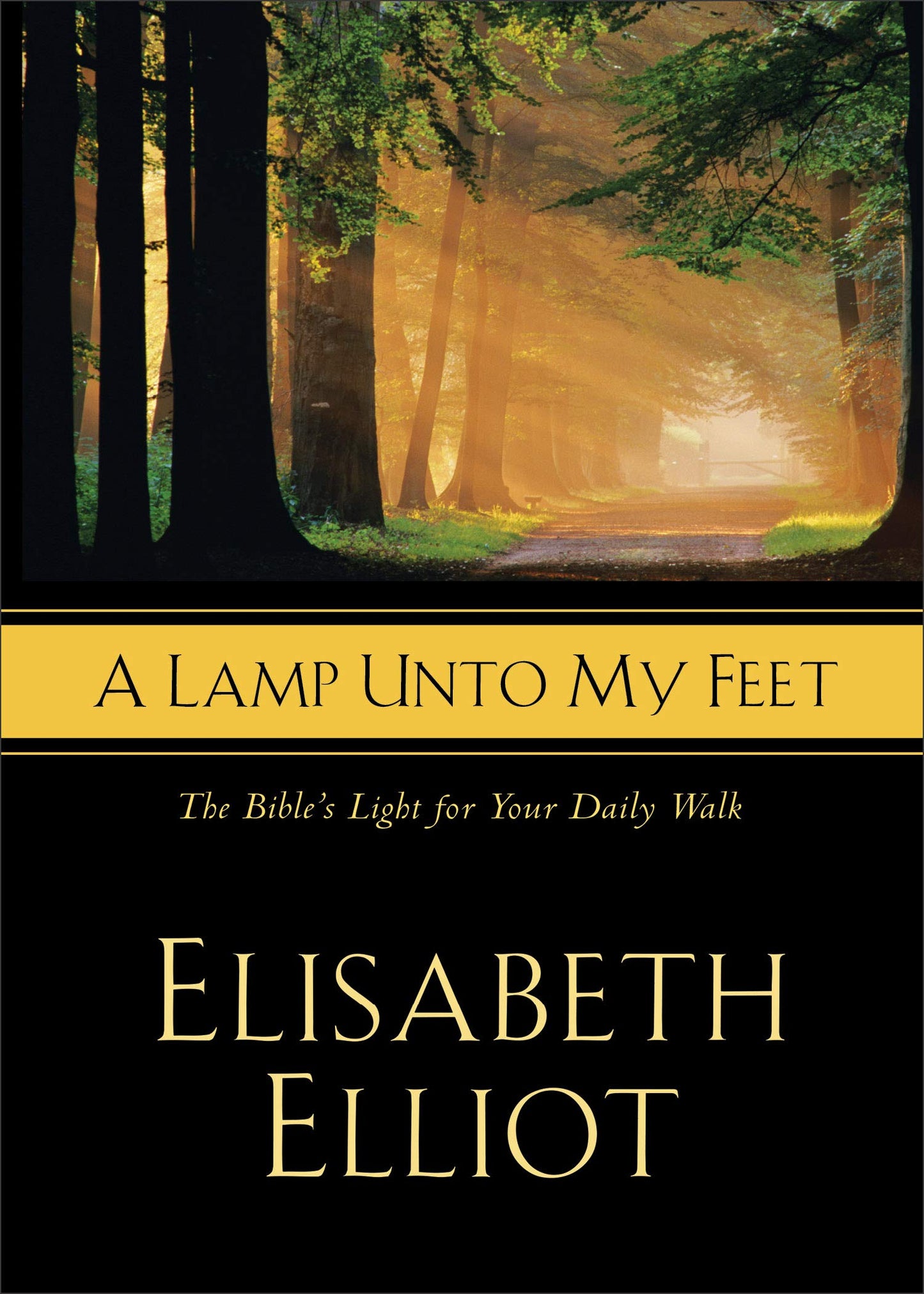 A Lamp Unto My Feet: The Bible's Light For Your Daily Walk