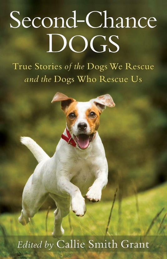 SECOND-CHANCE DOGS: TRUE STORIES - 8984