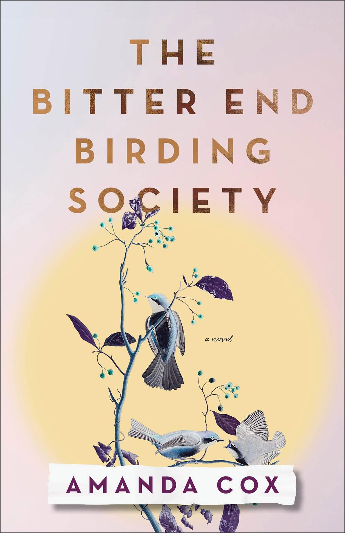 The Bitter End Birding Society: Lyrical Southern Fiction Book Club Read Set in Tennessee