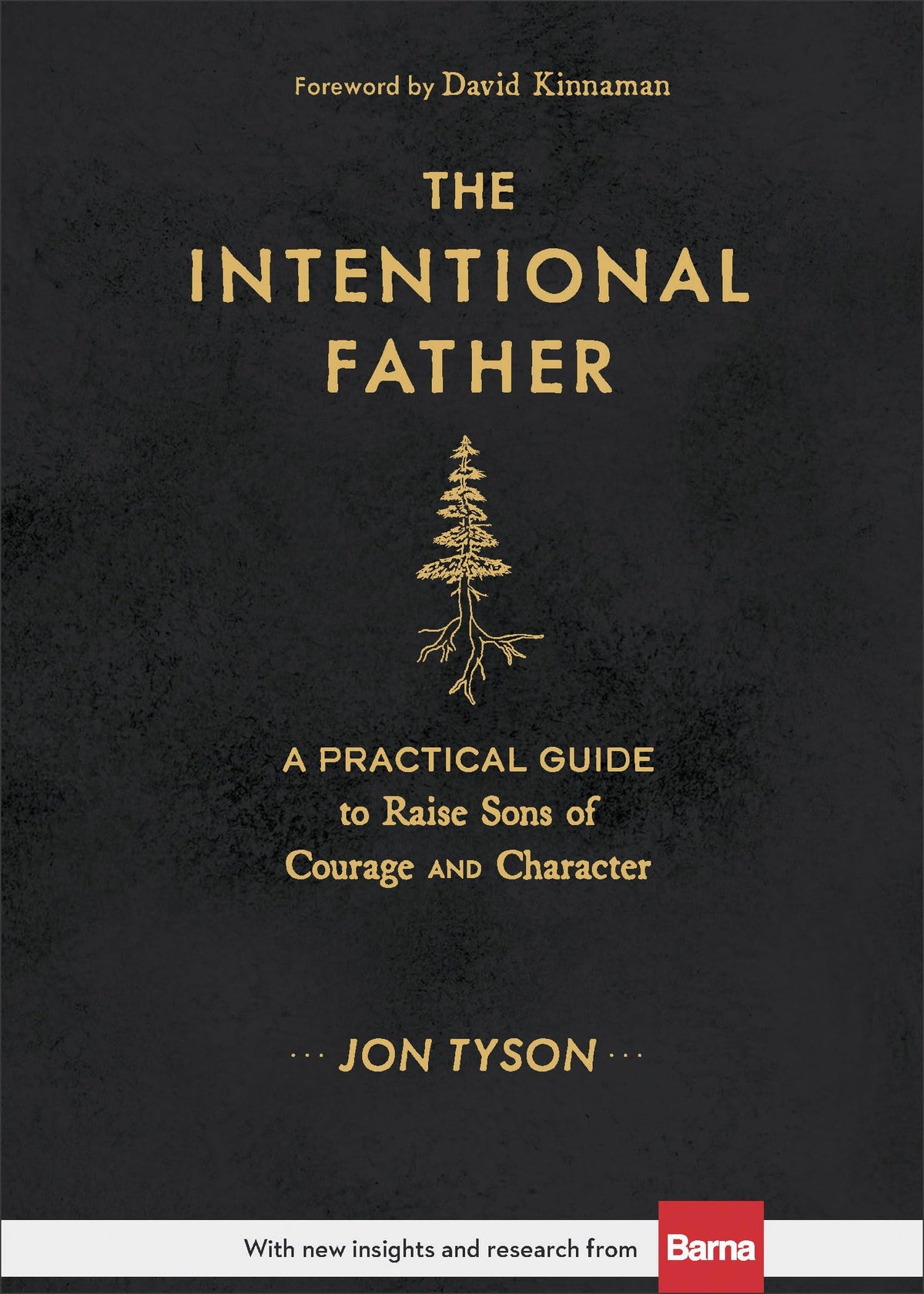 The Intentional Father: A Practical Guide to Raise Sons of Courage and Character | Parenting Boys for a Dad to Be, Grandpa, or Husband | Gift for Christian Men