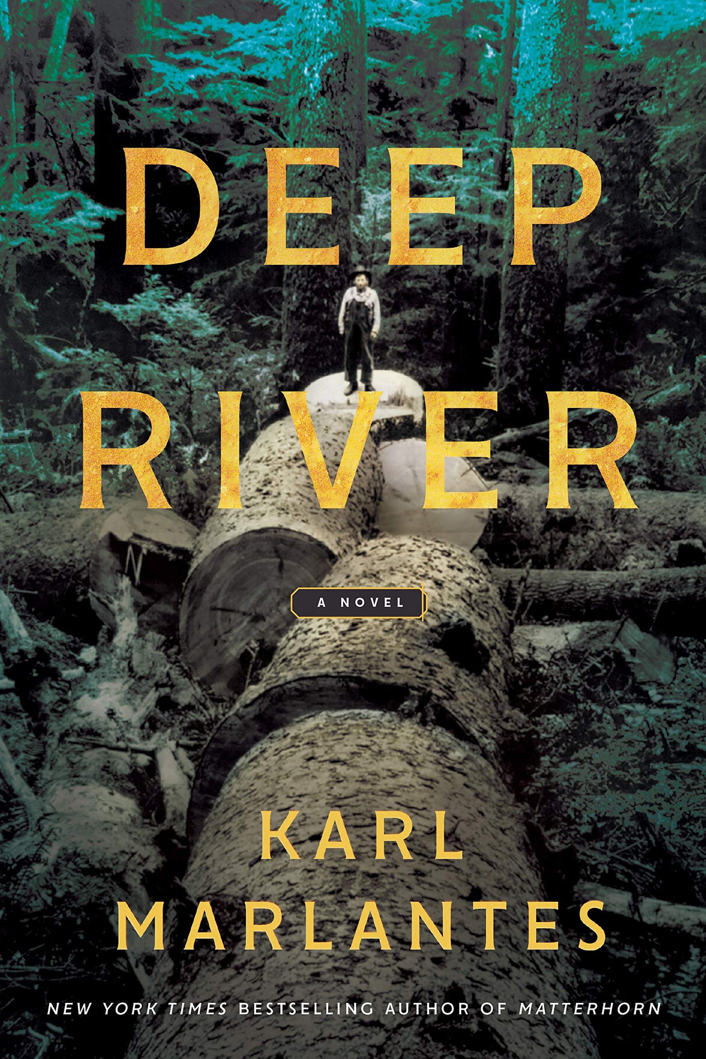 Deep River: A Novel - 6256