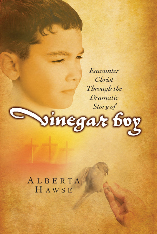 Vinegar Boy: Encounter Christ Through the Dramatic Story of Vinegar Boy - 8563