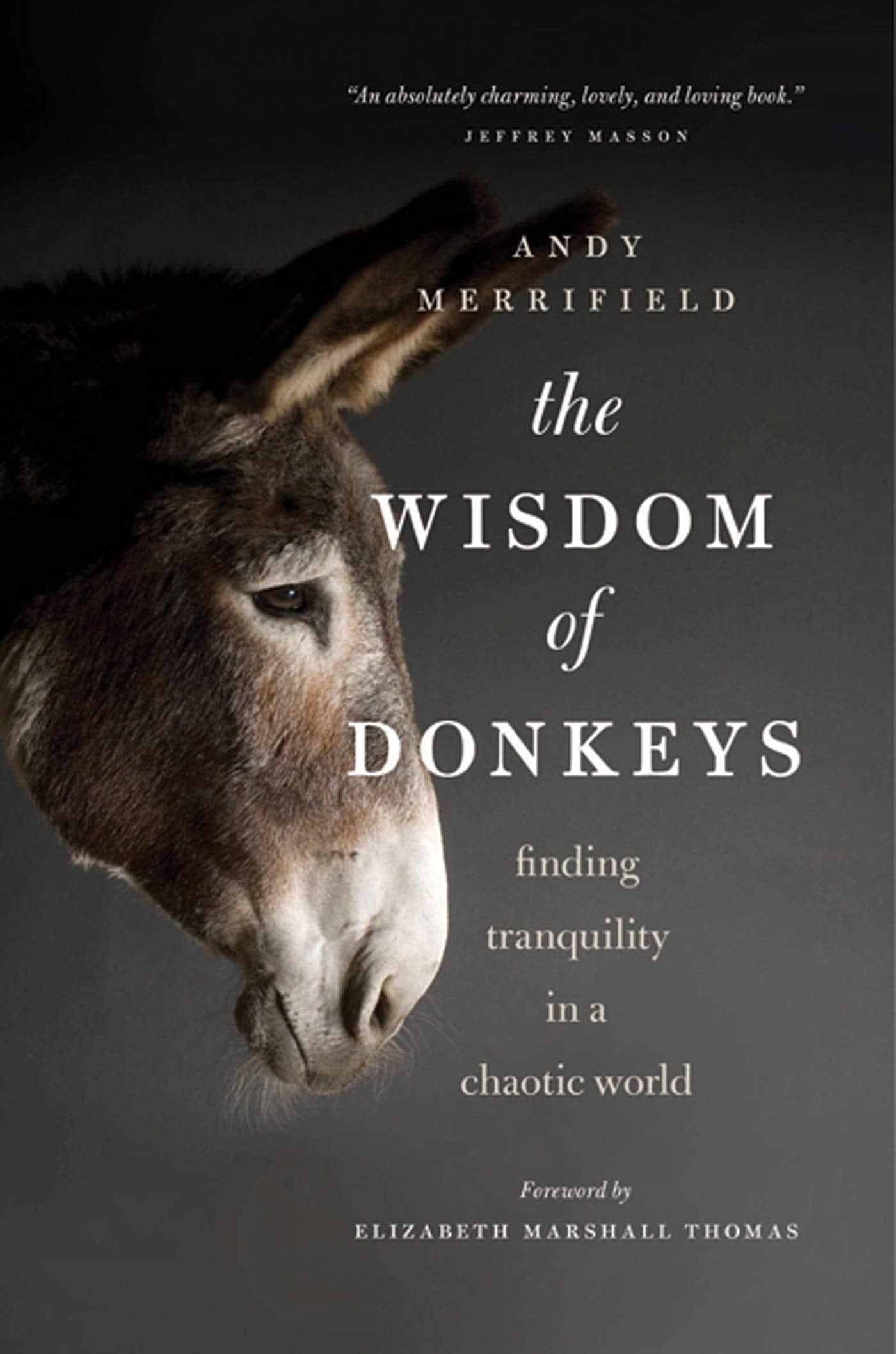 The Wisdom of Donkeys: Finding Tranquility in a Chaotic World - 7987