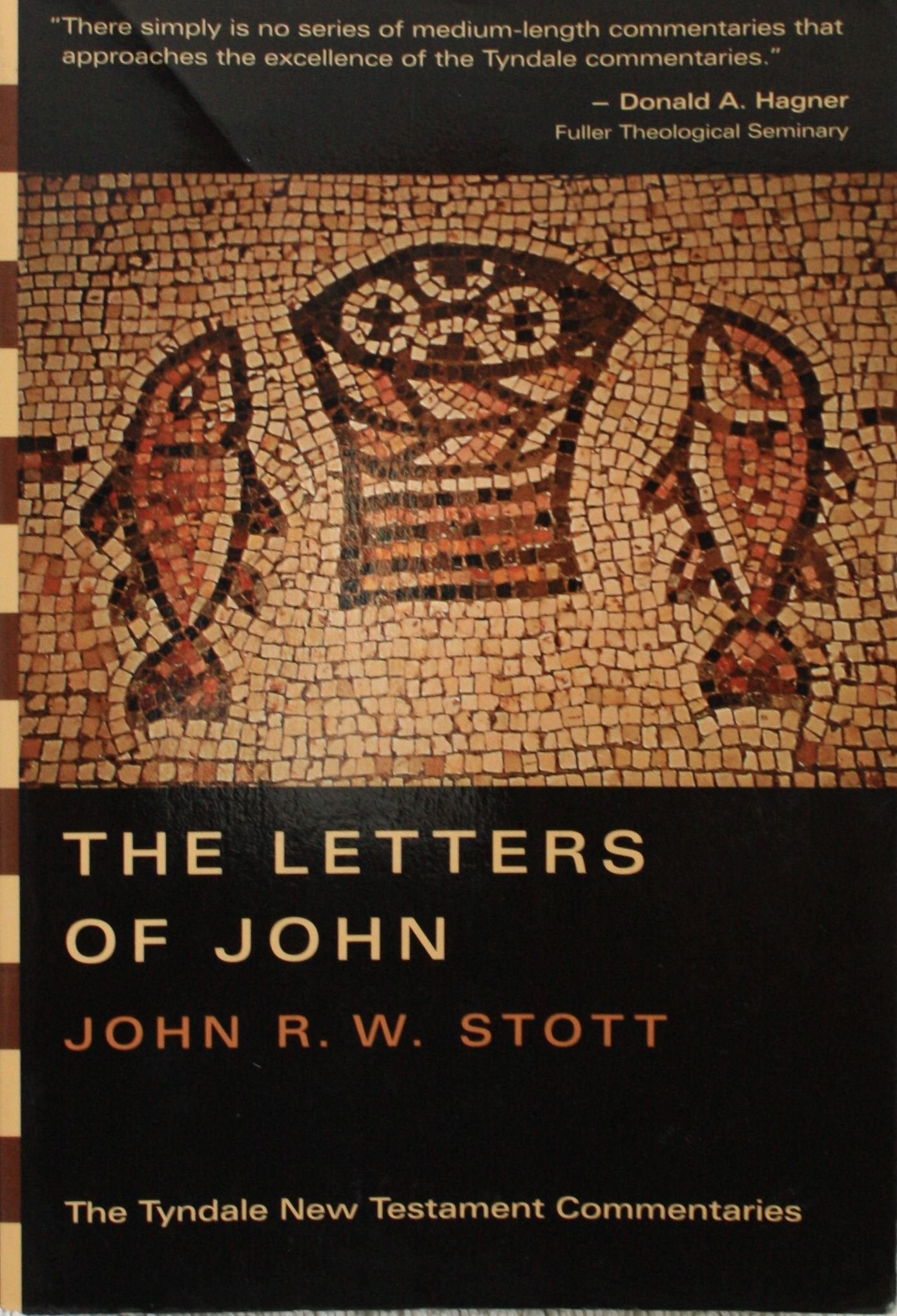 The Letters of John: An Introduction and Commentary (Tyndale New Testament Commentaries)