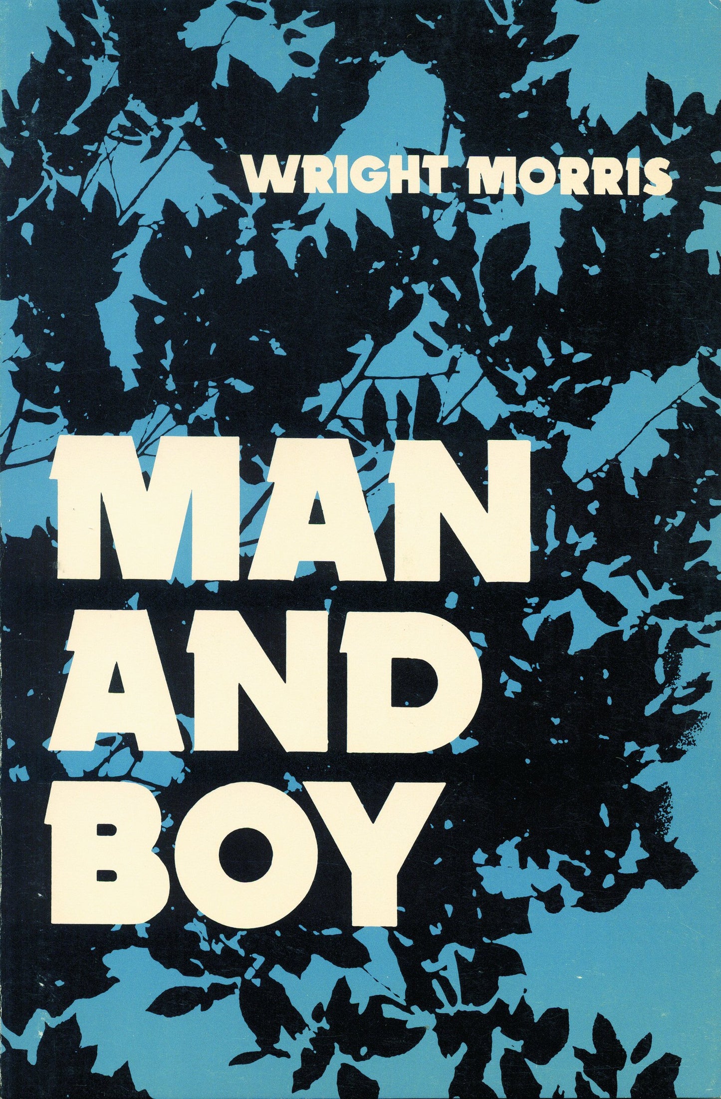 Man and Boy (Bison Book S)