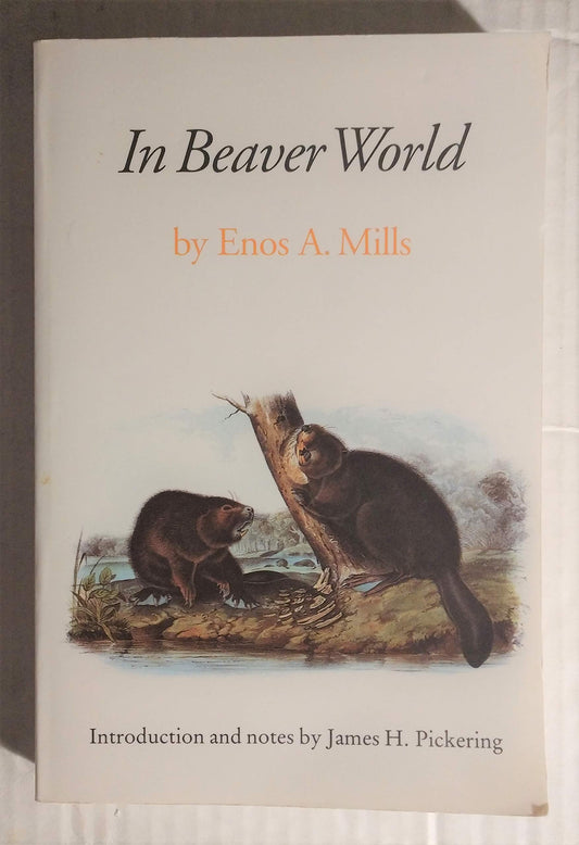 In Beaver World - 3368