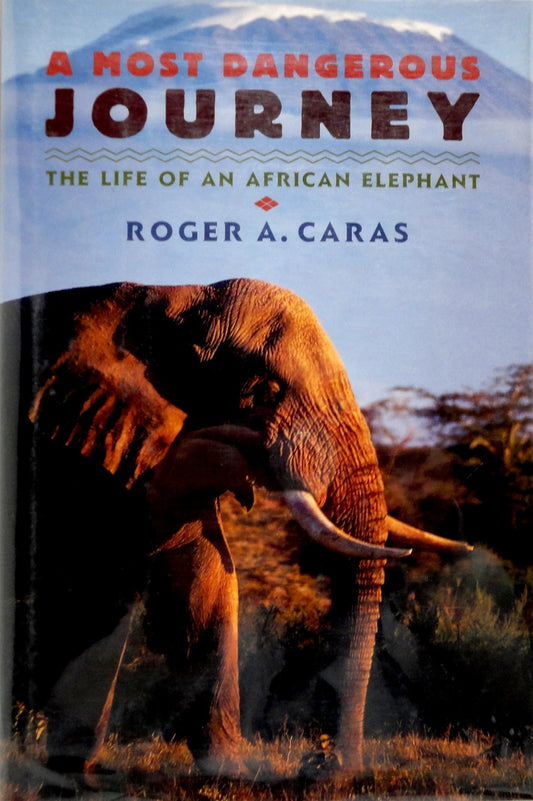 A Most Dangerous Journey: The Life of an African Elephant
