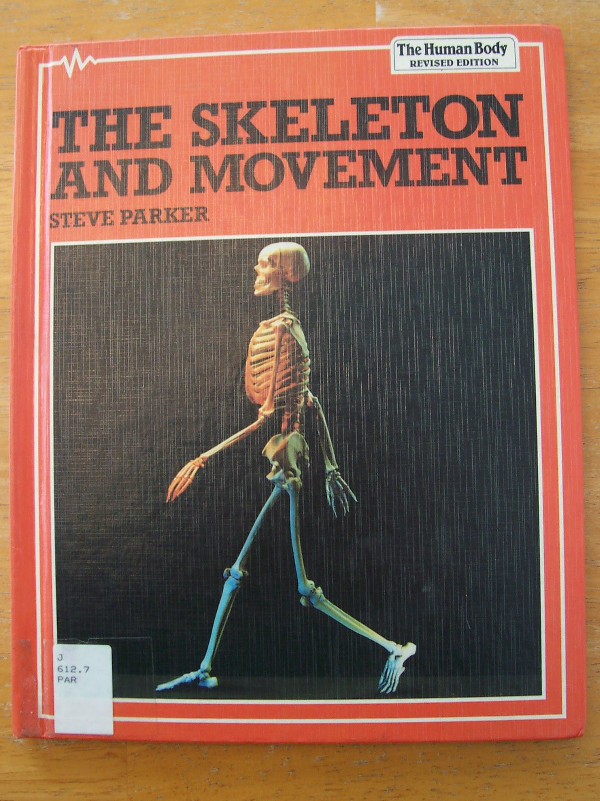 The Skeletal System (Human Body System)