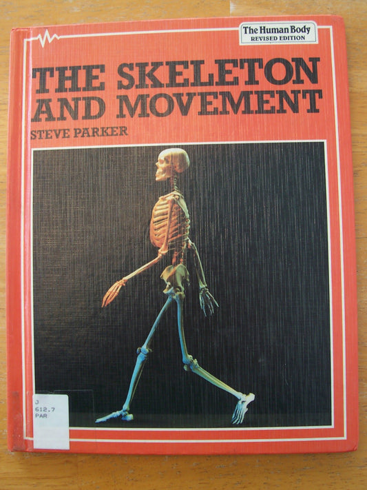 The Skeletal System (Human Body System)