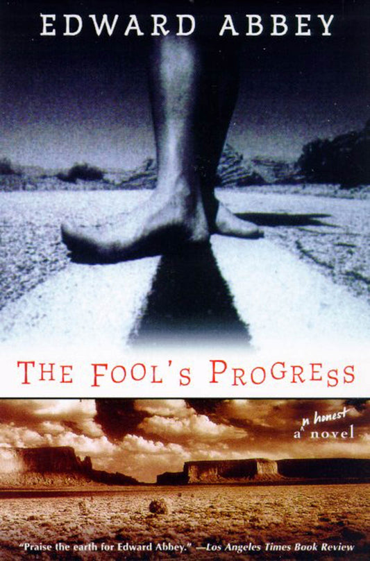 The Fool's Progress: An Honest Novel - 6219