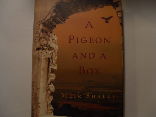 A Pigeon and a Boy: A Novel